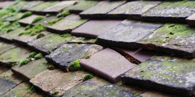 Grove roof repair costs